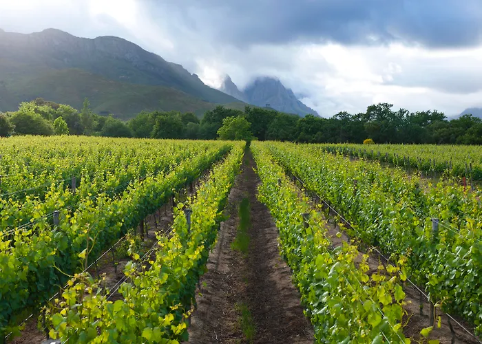 Lanzerac Hotel & Spa Stellenbosch