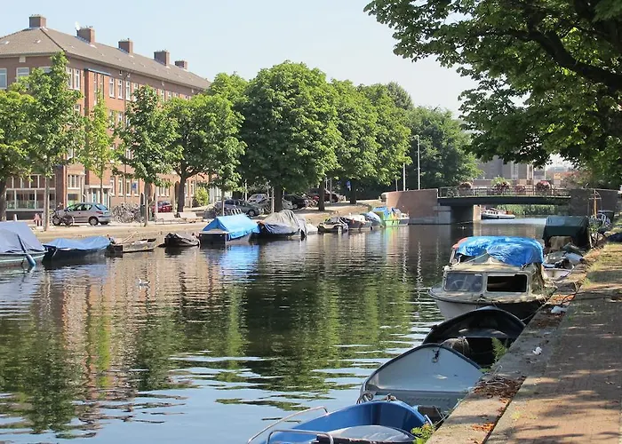Wild Roses Hotell Amsterdam