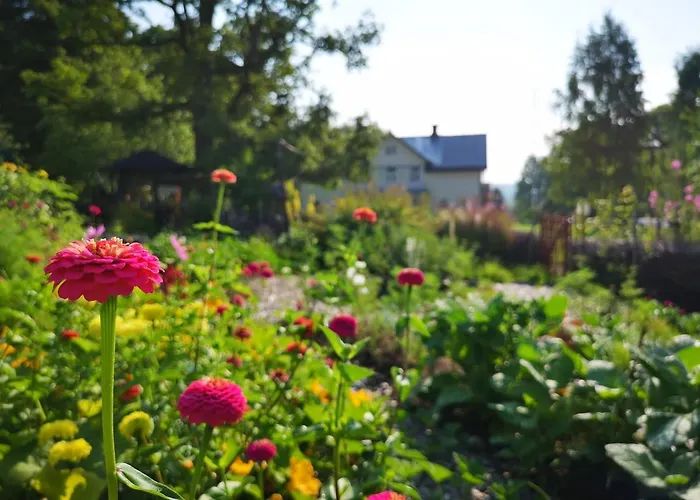Disponentparken Café och Bed&Breakfast Grängesberg