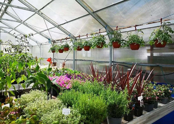 Disponentparken Café och Bed&Breakfast Grängesberg