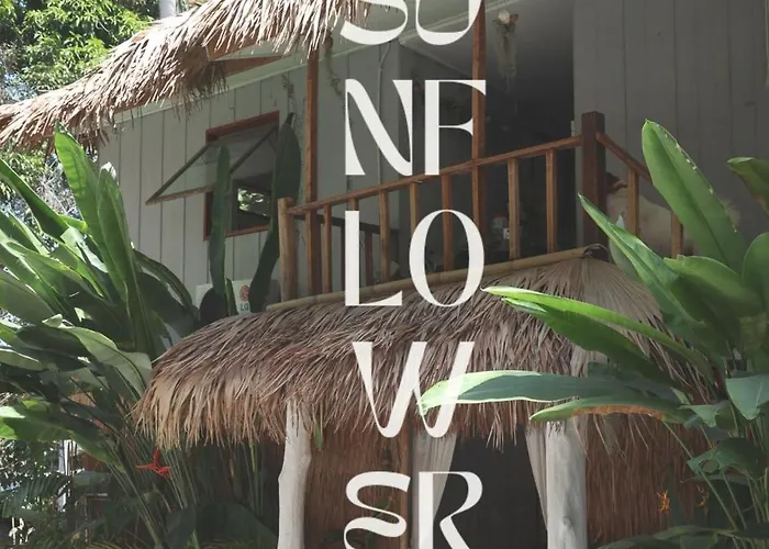 Sunflower Guesthouse And Animal Rescue - Koh Lipe