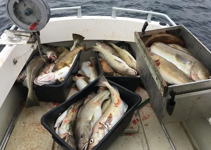 Hammerstad Camping Svolvær
