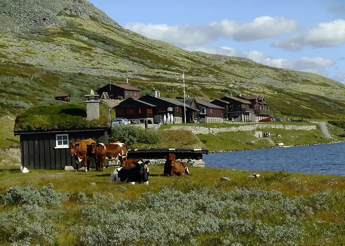 Smuksjøseter Fjellstue Hotell Høvringen