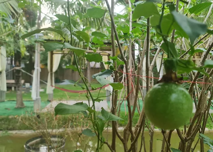 Baan Suan Rim Klong Resort Ko Lanta