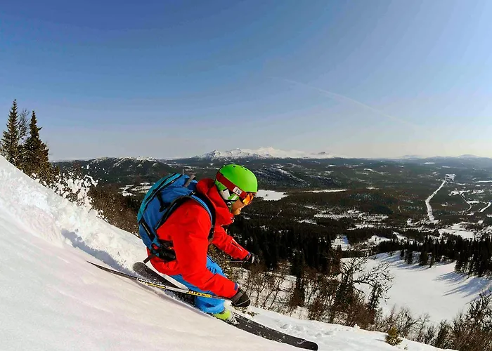Eriks Villa Funäsdalen
