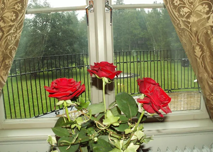 Hellefors Herrgård Hällefors