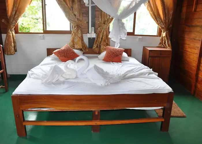 HotellSurf&Yoga Mirissa - Surf Camp&Yoga Retreat