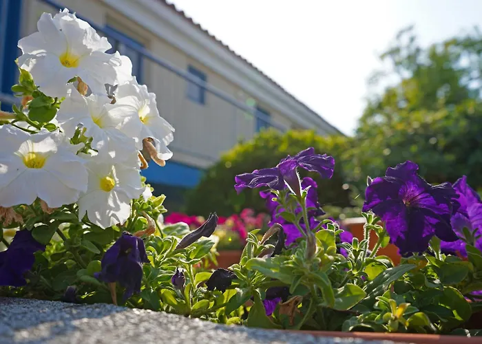 Green Bungalows Hotel Apartments Agia Napa