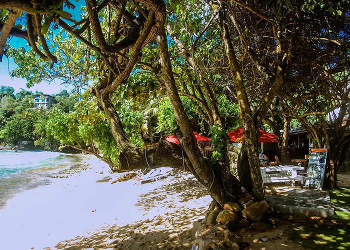 Surf Sea Breeze Hotell Mirissa
