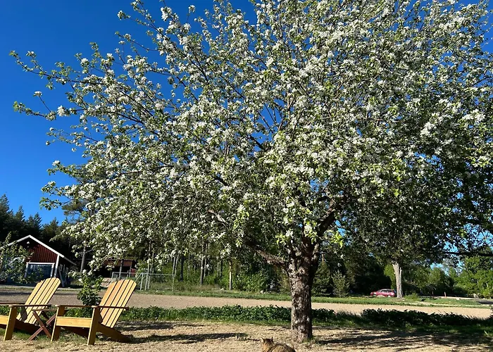 Annas B&B Järvsö