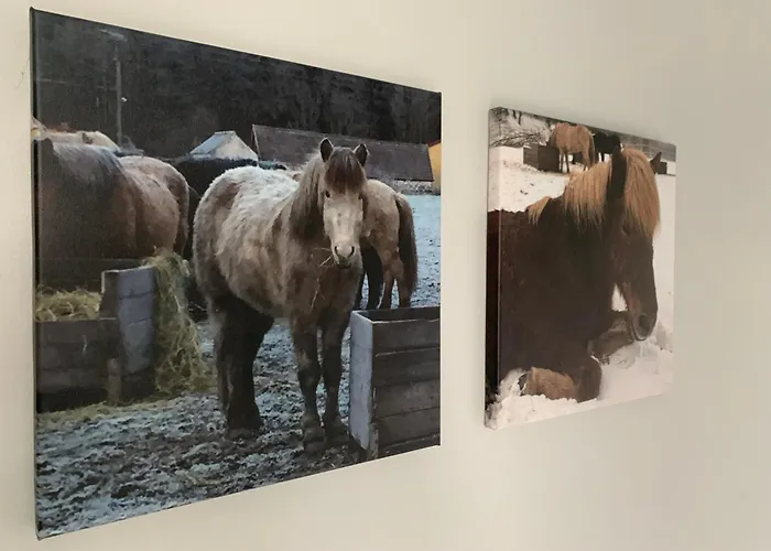 Hallamölla Gård Brösarp