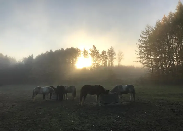 Hallamölla Gård Brösarp