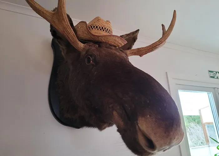 Landvetter Bnb Härryda