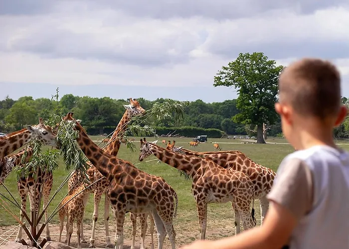 Knuthenborg Safaripark Hotell Maribo