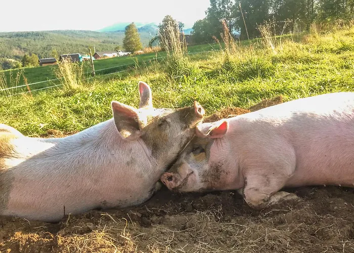 Skåbu Fjellhotell