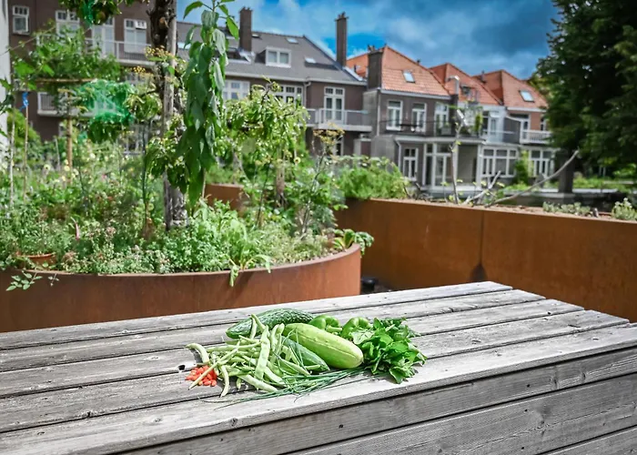 Court Garden Hotel Haag