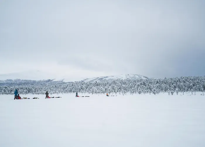 Jotunheimen Husky Lodge Randsverk