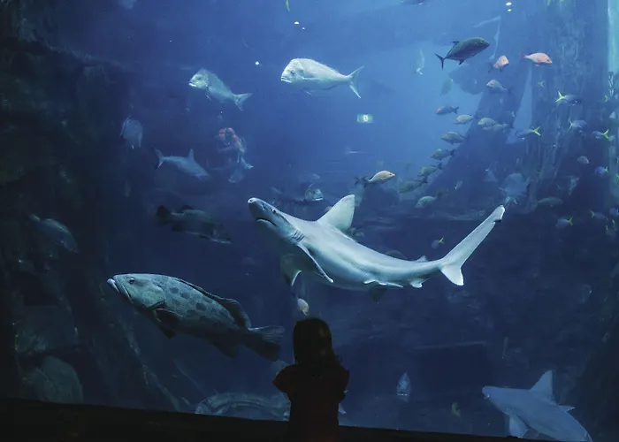 Metro Apartments On Bank Place Melbourne