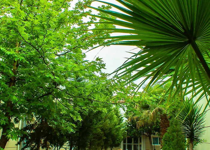 The Crescent Beach Hotel Baku