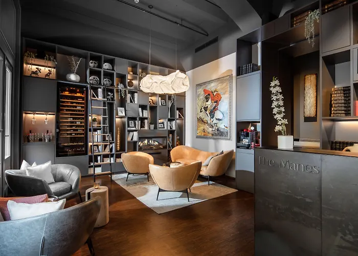 The Manes Boutique Hotel Praha