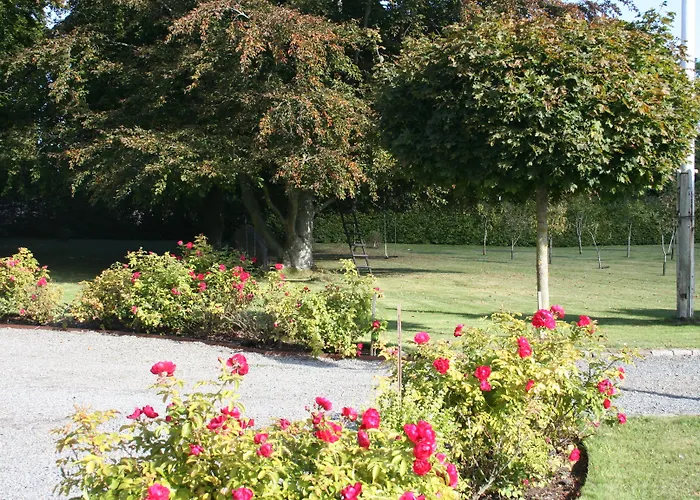 Hoby Gard Bed and Breakfast Borrby