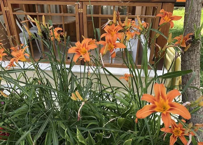 Nar Apart Hotel Side