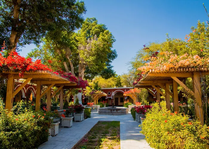 Dm Hoteles Mossone - Ica