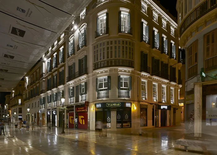 Vincci Larios Diez Málaga