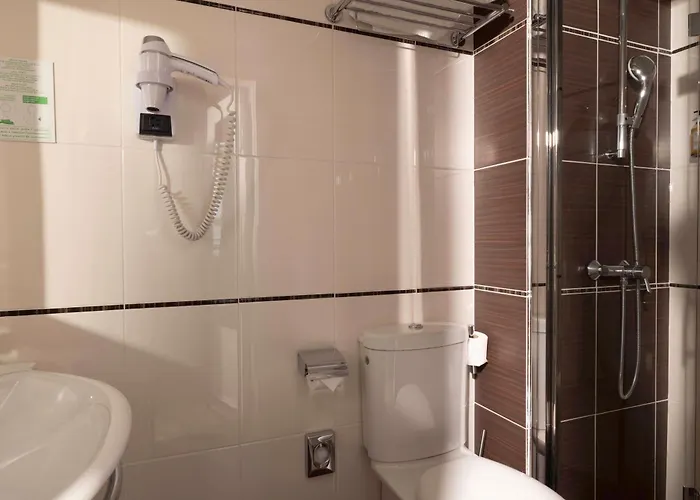 Hotel Elysees Bassano Paris
