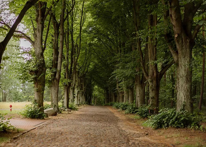 Dworek Bukowy Park Szczecin