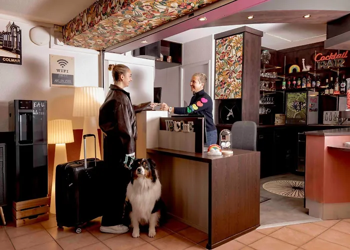 Hotel Arc-En-Ciel Colmar Contact Hotel