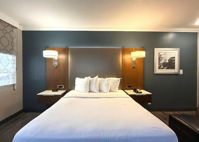 Best Western Hollywood Plaza Hotel - Walk Of Fame Film City La Los Angeles