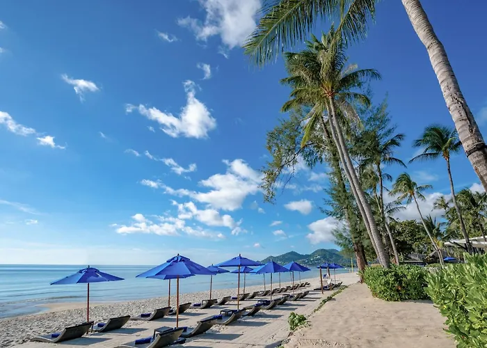 Ozo Chaweng Samui Hotell