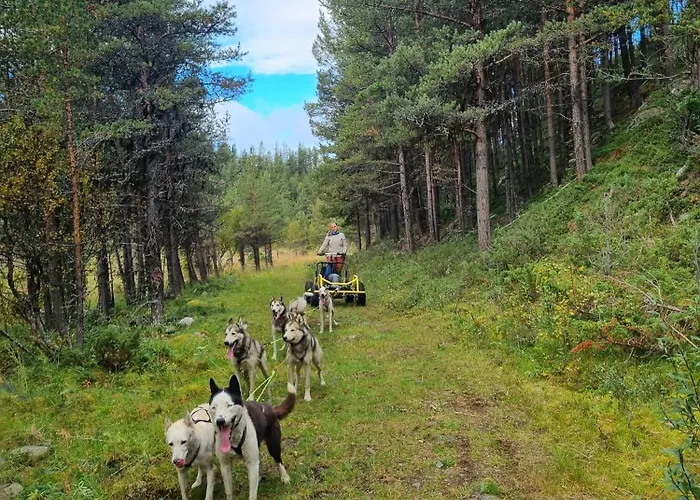 Jotunheimen Husky Lodge Randsverk