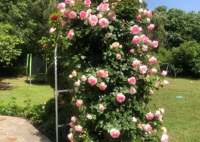 Secret Garden House Hotell Varna