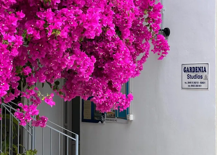 Gardenia Studios Nidhrion