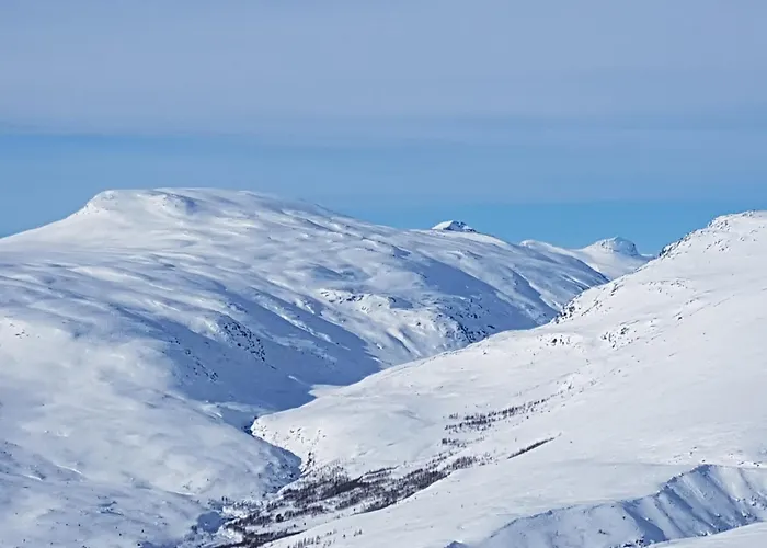 Billingen Seterpensjonat Skjåk