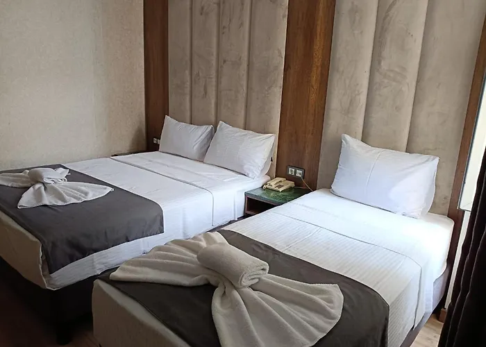 Hotel Buyuk Paris Istanbul