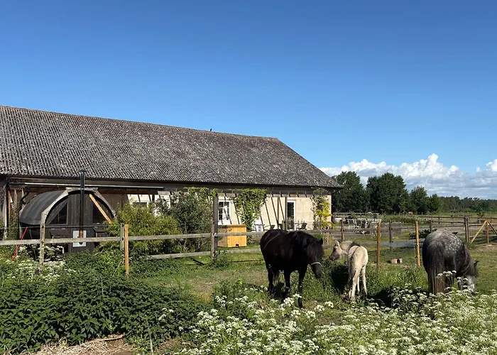 Ölands Yoga Studio&Islandshästar, Stugor&Rum Mörbylånga