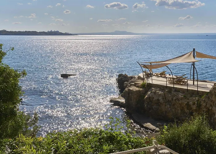 Barcelo Illetas Albatros - Adults Only Hotell