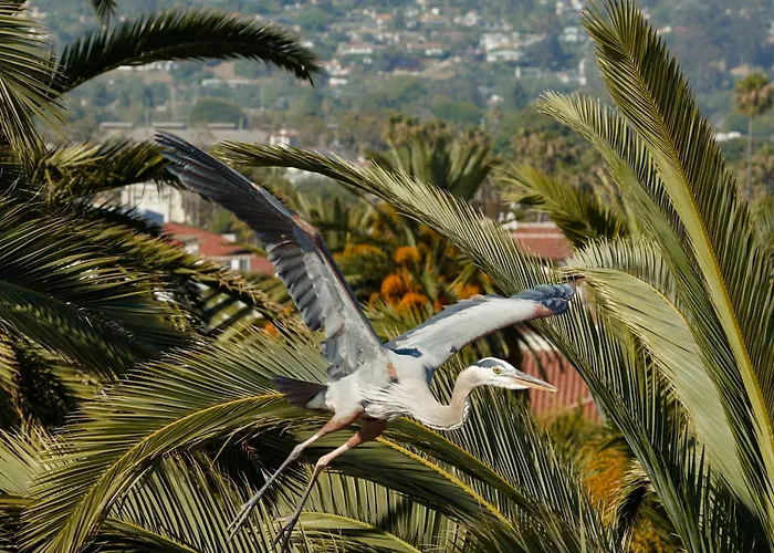 The Milo Hotell Santa Barbara