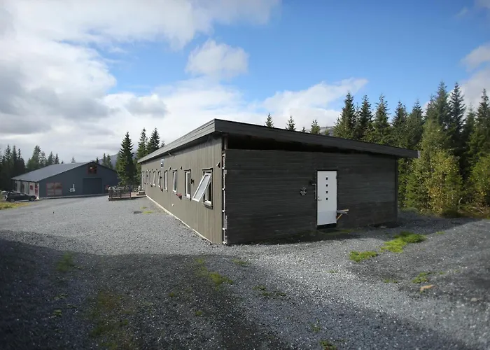 Blåfjell hundesenter fjellhotell Mosjøen