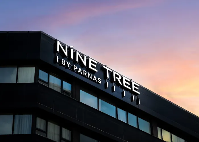 Nine Tree By Parnas Seoul Myeongdong 1 Hotell
