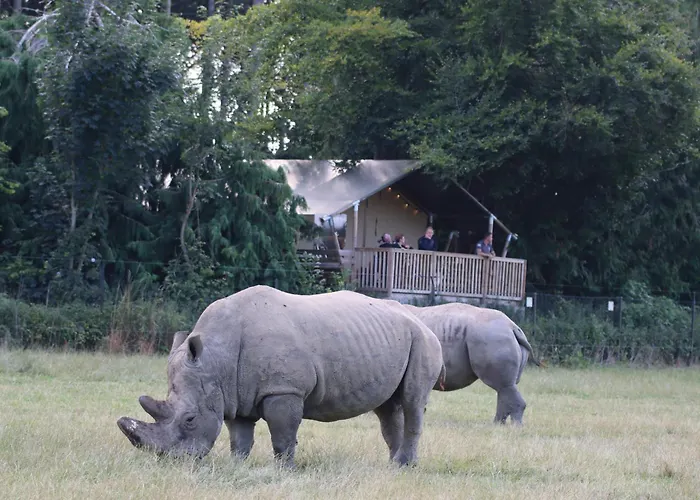 Knuthenborg Safaripark Hotell Maribo