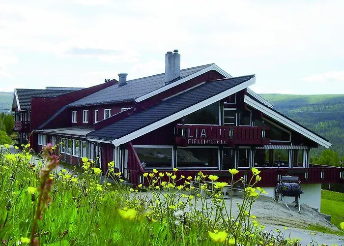 Lia Fjellhotell Geilo