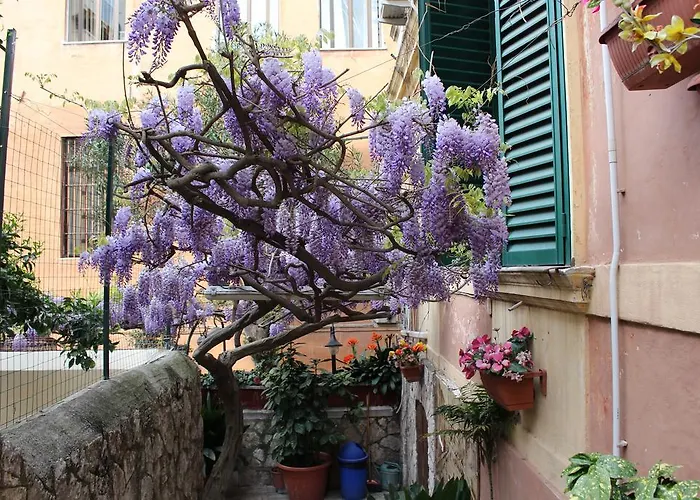 Hotel Pavia Rom